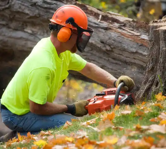 tree services Alger